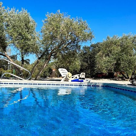 Refugio Andaluz Con Piscina Entre Olivos Villanueva de Tapia Zewnętrze zdjęcie