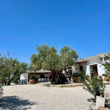 Refugio Andaluz Con Piscina Entre Olivos Villanueva de Tapia Zewnętrze zdjęcie