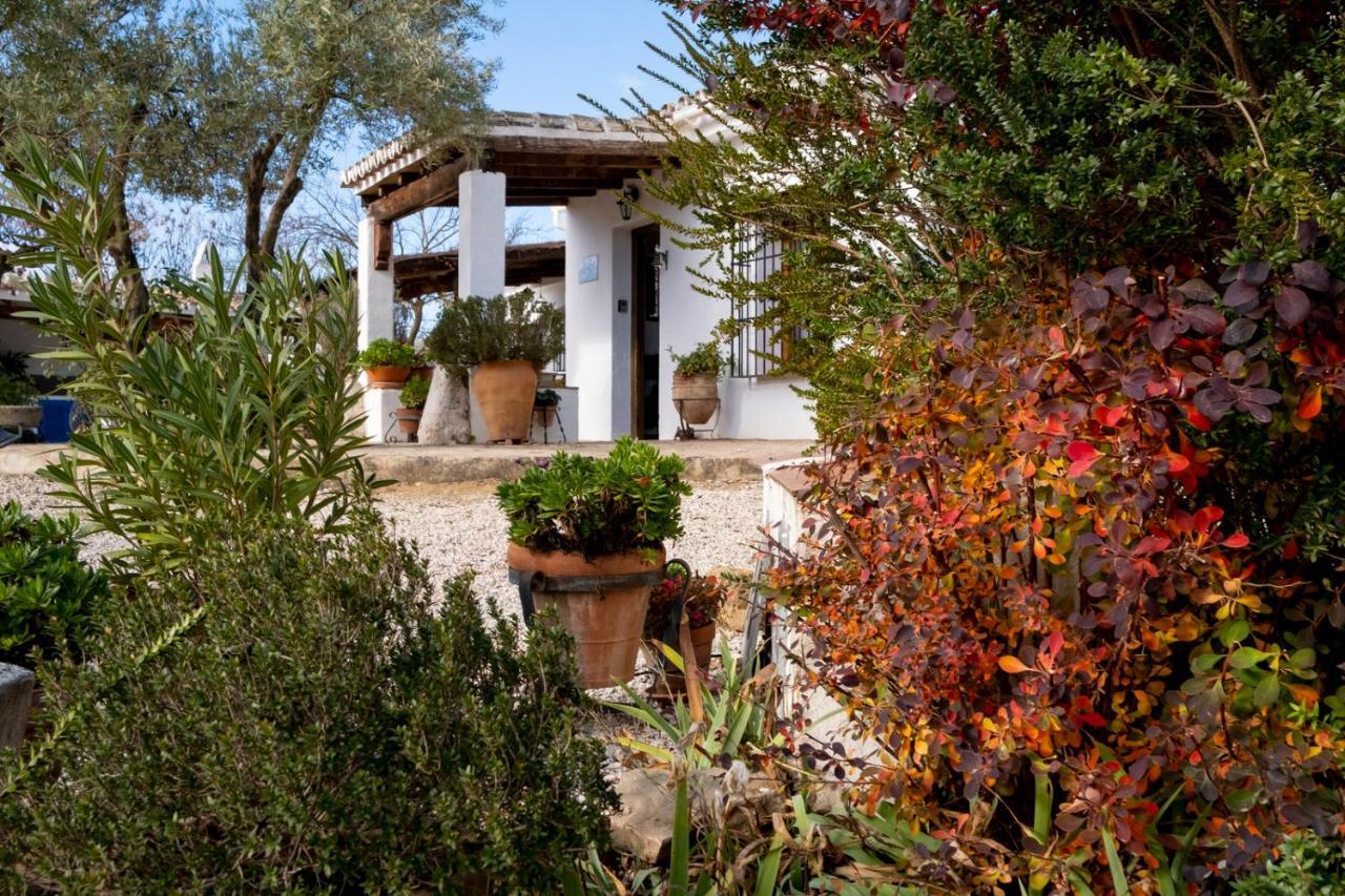 Refugio Andaluz Con Piscina Entre Olivos Villanueva de Tapia Zewnętrze zdjęcie