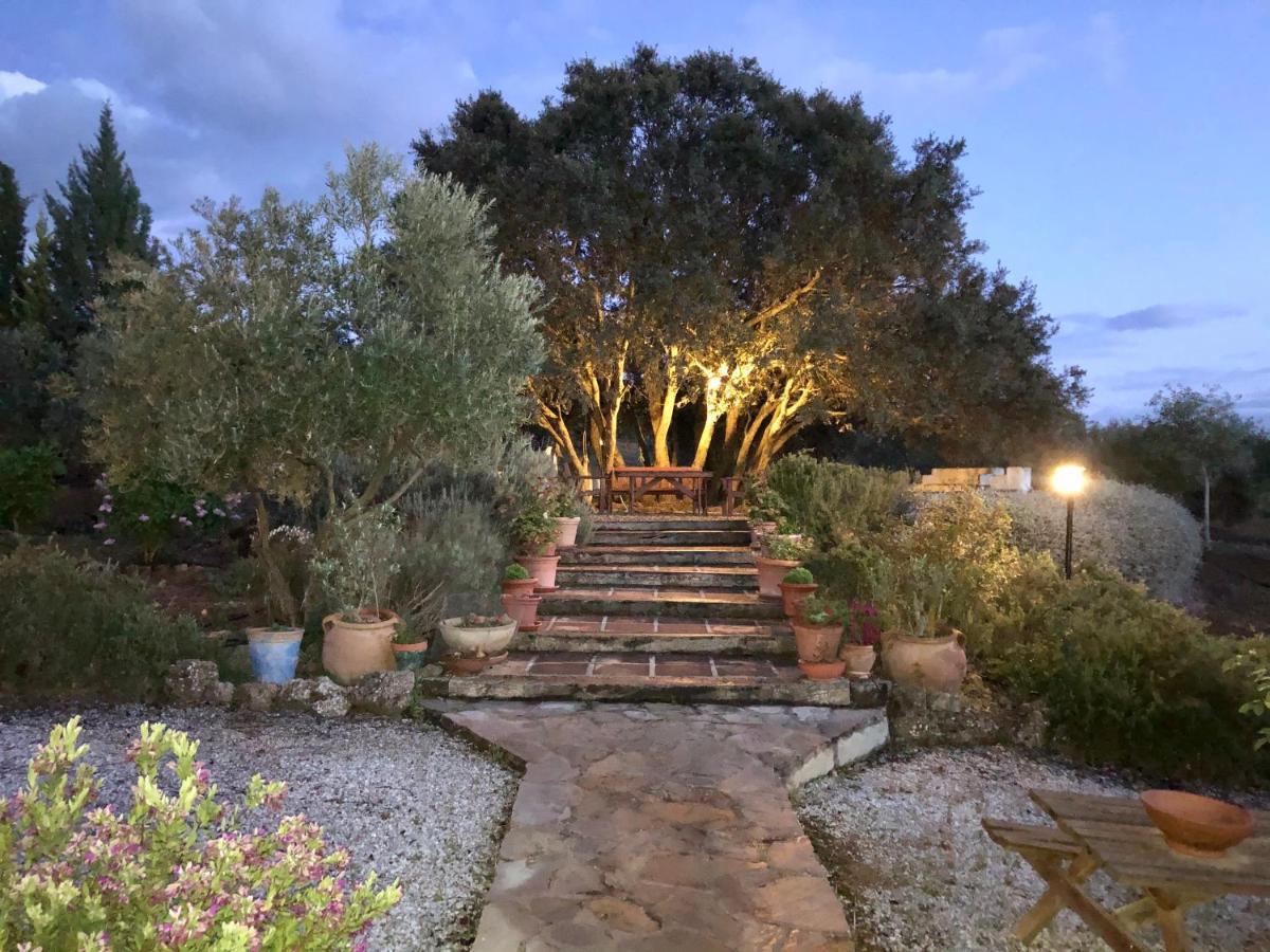 Refugio Andaluz Con Piscina Entre Olivos Villanueva de Tapia Zewnętrze zdjęcie