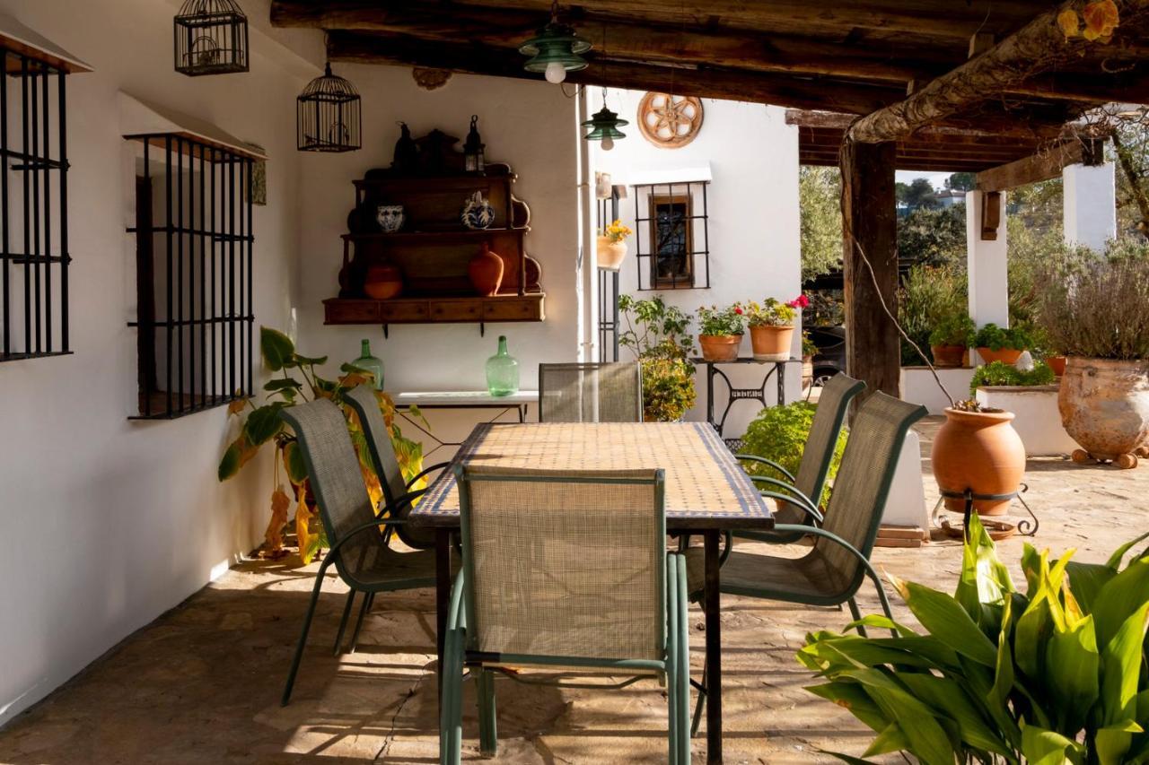 Refugio Andaluz Con Piscina Entre Olivos Villanueva de Tapia Zewnętrze zdjęcie
