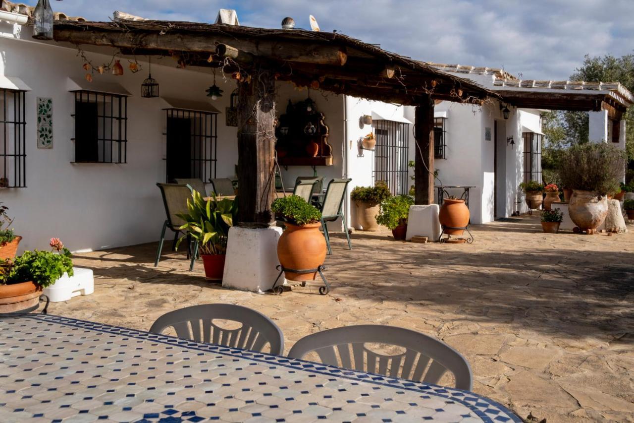 Refugio Andaluz Con Piscina Entre Olivos Villanueva de Tapia Zewnętrze zdjęcie