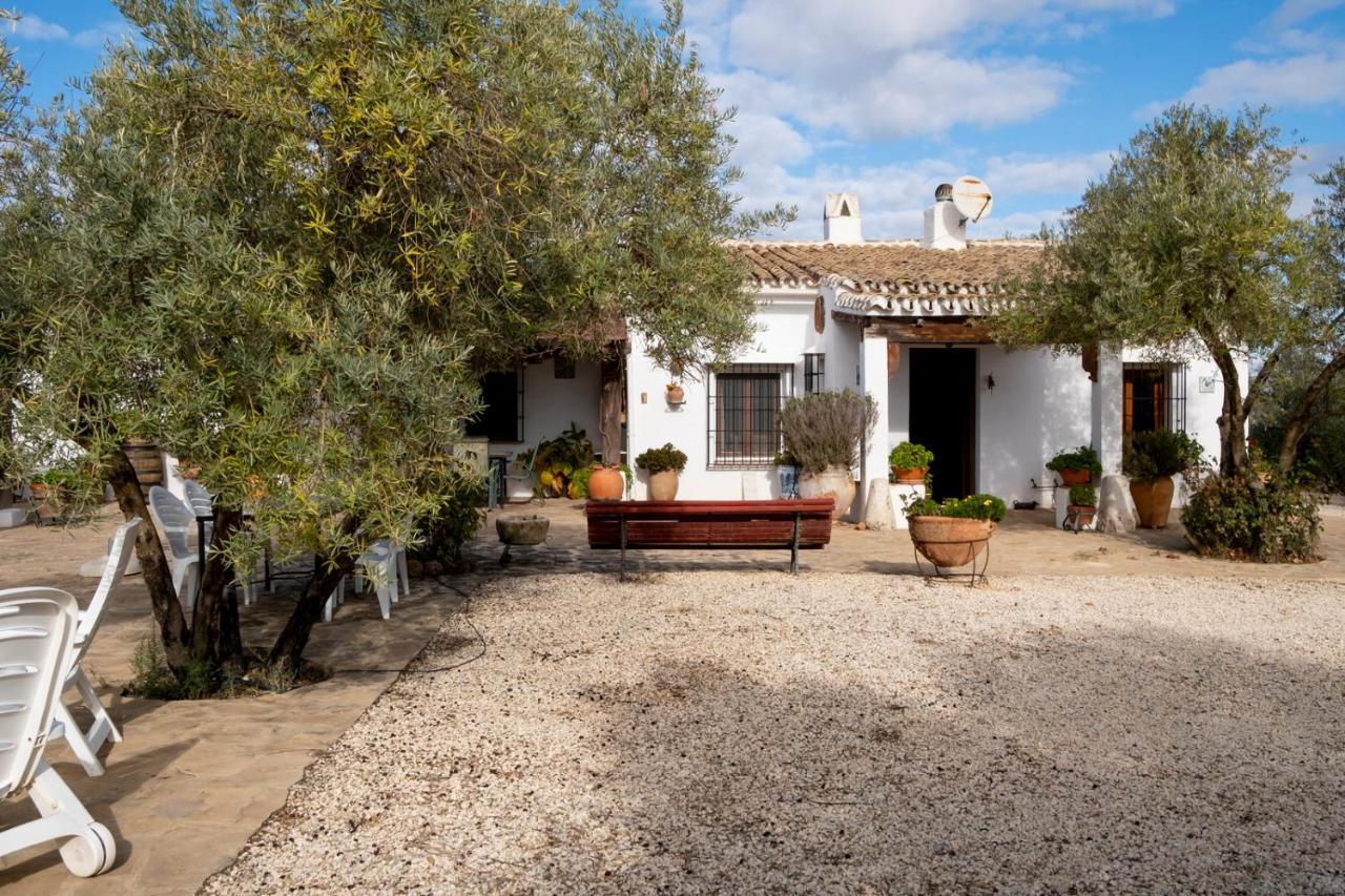 Refugio Andaluz Con Piscina Entre Olivos Villanueva de Tapia Zewnętrze zdjęcie