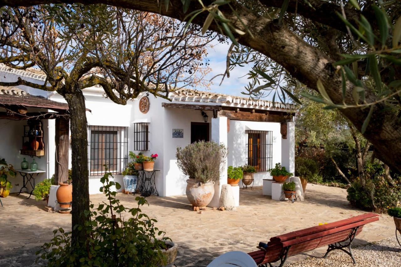 Refugio Andaluz Con Piscina Entre Olivos Villanueva de Tapia Zewnętrze zdjęcie