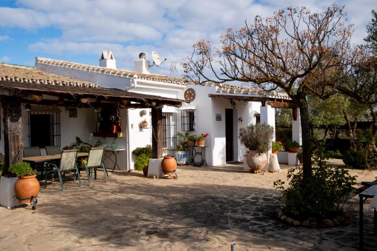Refugio Andaluz Con Piscina Entre Olivos Villanueva de Tapia Zewnętrze zdjęcie