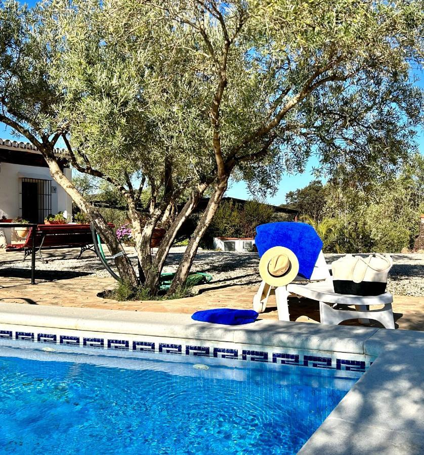 Refugio Andaluz Con Piscina Entre Olivos Villanueva de Tapia Zewnętrze zdjęcie