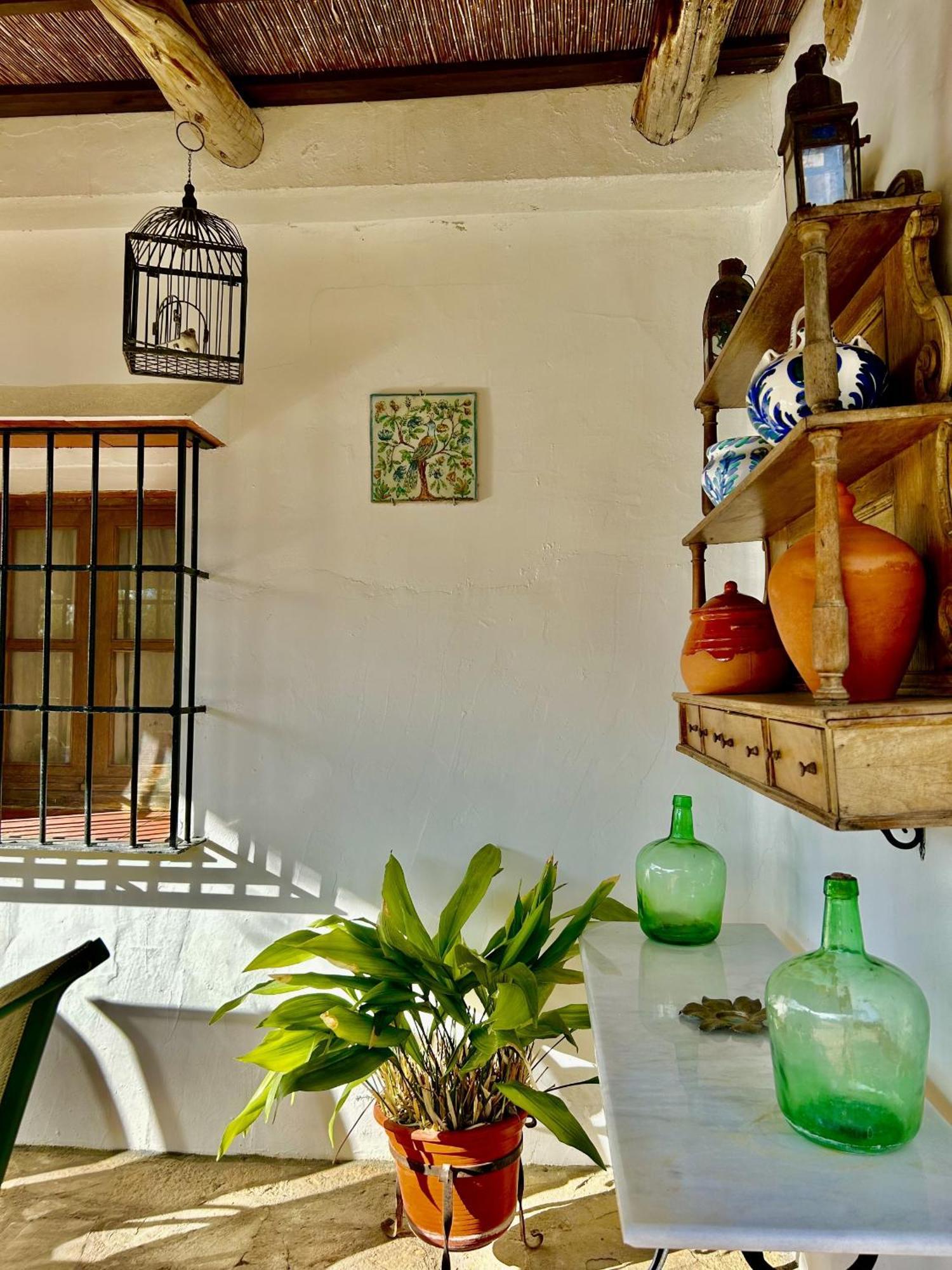 Refugio Andaluz Con Piscina Entre Olivos Villanueva de Tapia Zewnętrze zdjęcie