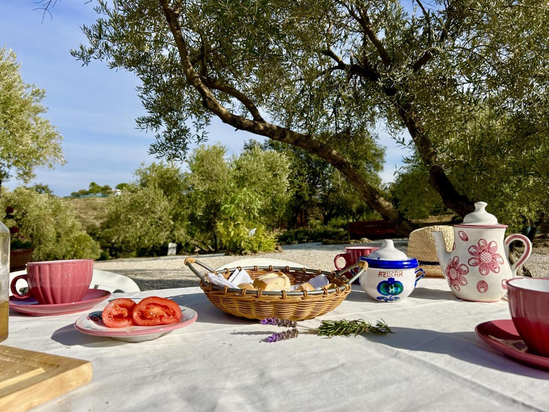 Refugio Andaluz Con Piscina Entre Olivos Villanueva de Tapia Zewnętrze zdjęcie