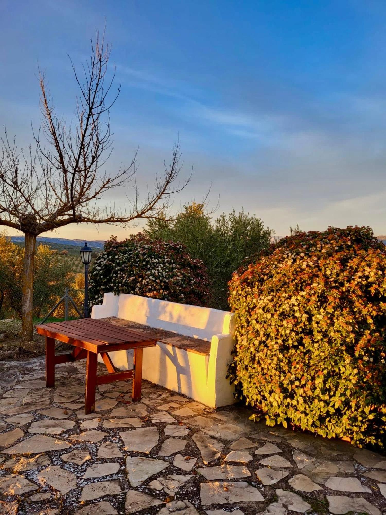 Refugio Andaluz Con Piscina Entre Olivos Villanueva de Tapia Zewnętrze zdjęcie