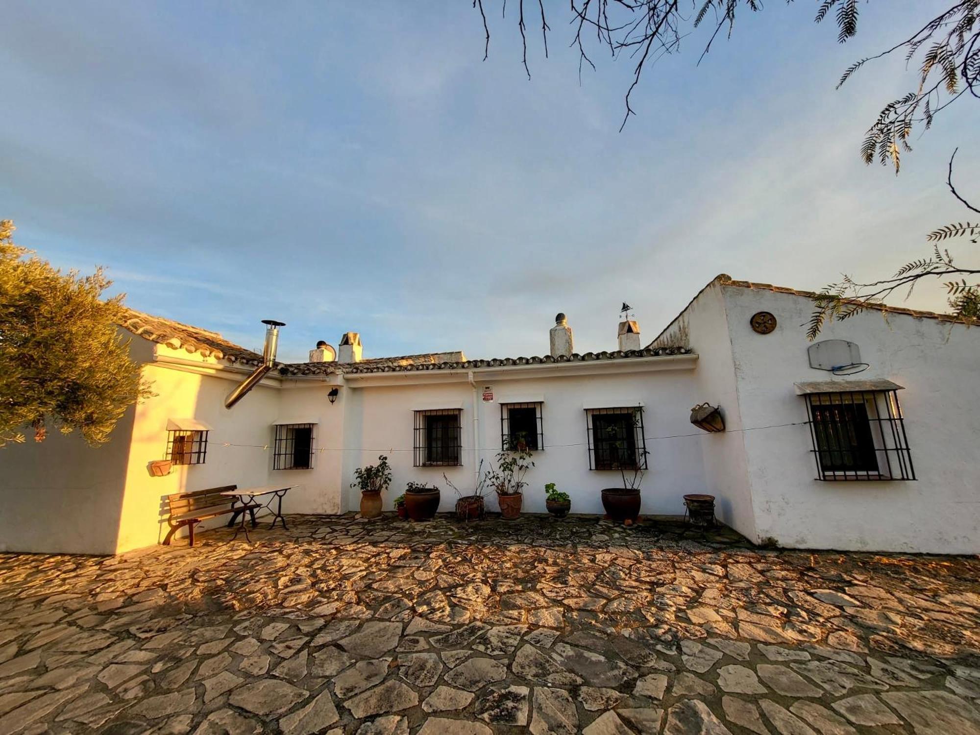 Refugio Andaluz Con Piscina Entre Olivos Villanueva de Tapia Zewnętrze zdjęcie