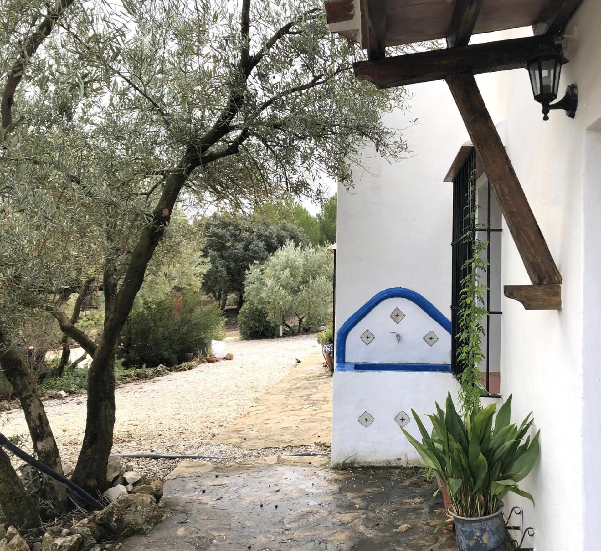 Refugio Andaluz Con Piscina Entre Olivos Villanueva de Tapia Zewnętrze zdjęcie