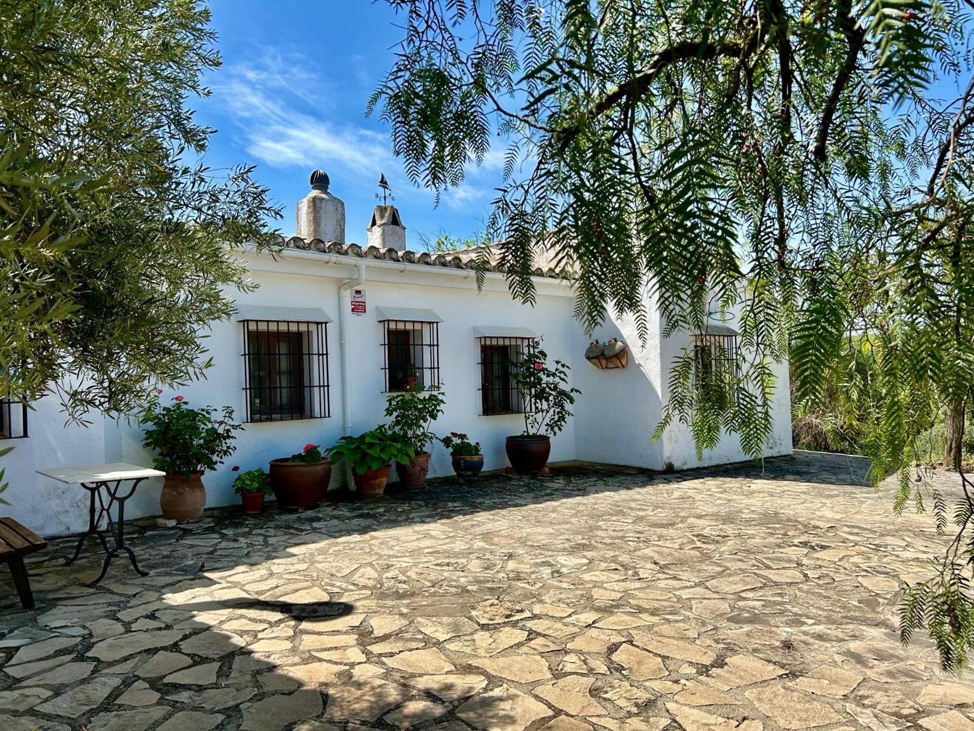 Refugio Andaluz Con Piscina Entre Olivos Villanueva de Tapia Zewnętrze zdjęcie
