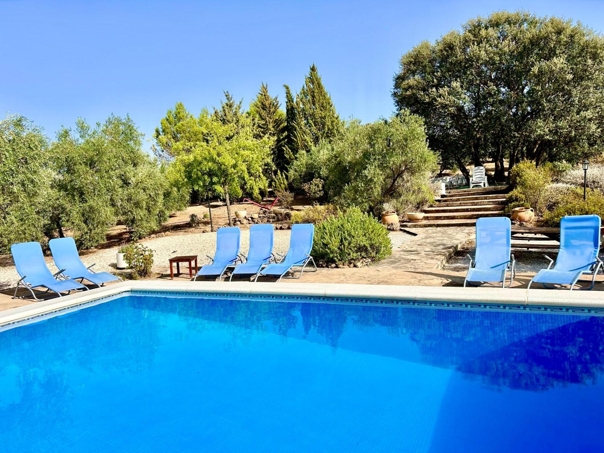 Refugio Andaluz Con Piscina Entre Olivos Villanueva de Tapia Zewnętrze zdjęcie